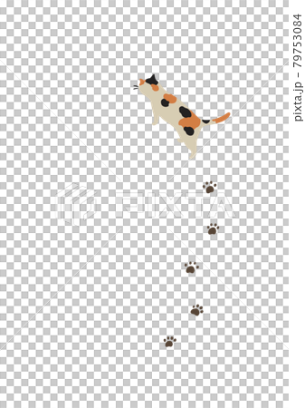 歩く猫-みけ猫 歩く猫-みけ猫 79753084