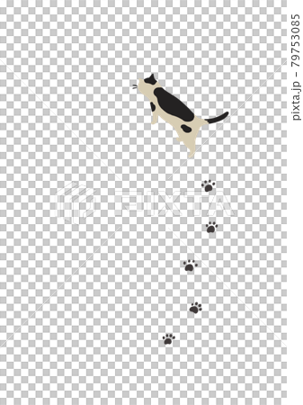 Walking cat-Brindle cat Walking cat-Brindle cat 79753085