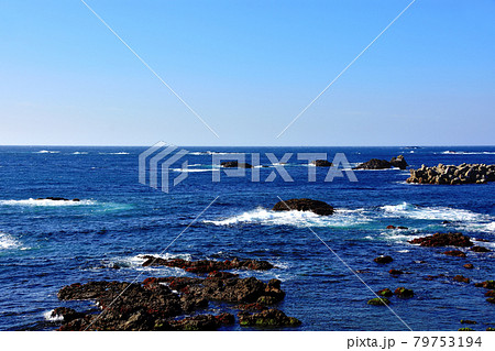 強風で大荒れの南伊豆海岸 強風で大荒れの南伊豆海岸 79753194