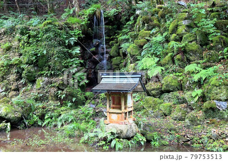 初夏の美濃の正倉院・両界山横蔵寺散策・6（岐阜県揖斐郡揖斐川町横蔵） 79753513