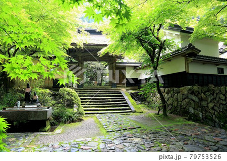 初夏の美濃の正倉院・両界山横蔵寺散策・19（岐阜県揖斐郡揖斐川町横蔵） 79753526
