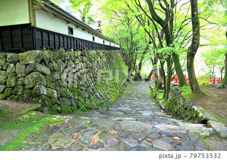 初夏の美濃の正倉院・両界山横蔵寺散策・25（岐阜県揖斐郡揖斐川町横蔵） 79753532