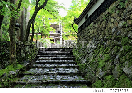 初夏の美濃の正倉院・両界山横蔵寺散策・31(岐阜県揖斐郡揖斐川町横蔵) 初夏の美濃の正倉院・両界山横蔵寺散策・31(岐阜県揖斐郡揖斐川町横蔵) 79753538
