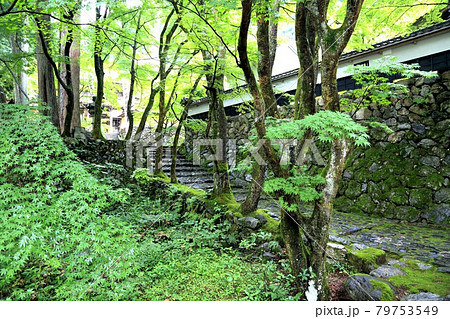 初夏の美濃の正倉院・両界山横蔵寺散策・42(岐阜県揖斐郡揖斐川町横蔵) 初夏の美濃の正倉院・両界山横蔵寺散策・42(岐阜県揖斐郡揖斐川町横蔵) 79753549
