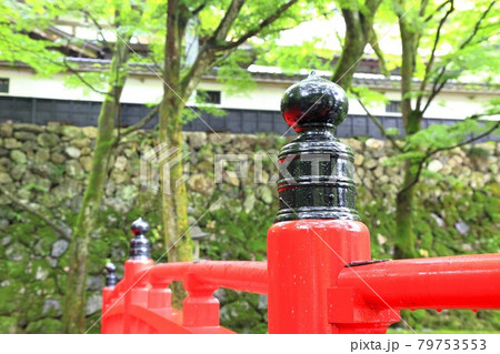 初夏の美濃の正倉院・両界山横蔵寺散策・46（岐阜県揖斐郡揖斐川町横蔵） 79753553