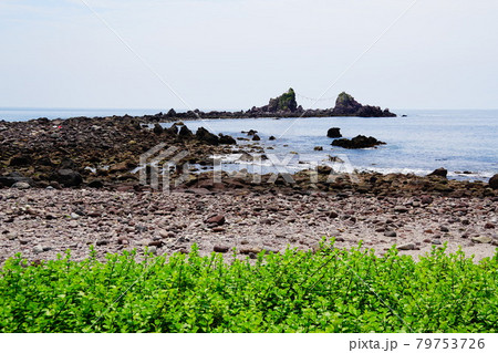 真鶴半島 海岸と三ツ石 真鶴半島 海岸と三ツ石 79753726