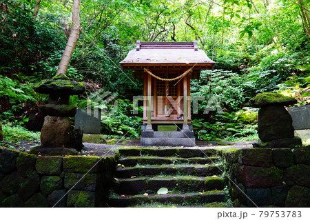 真鶴半島 山の神社 真鶴半島 山の神社 79753783