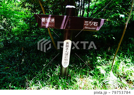 真鶴半島 灯明山 真鶴半島 灯明山 79753784