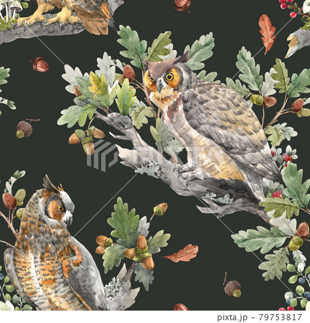 Beautiful seamless autumn forest pattern with watercolor hand drawn owl birds. Stock illustration. 79753817