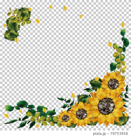 向日葵 79753958