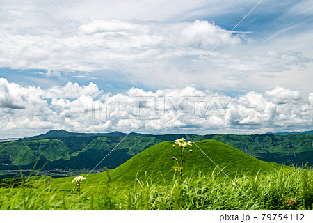 夏の青空に浮かぶ白い雲押戸石の草原の風景 79754112