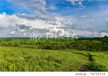 夏の青空に浮かぶ白い雲押戸石の草原の風景 79754139