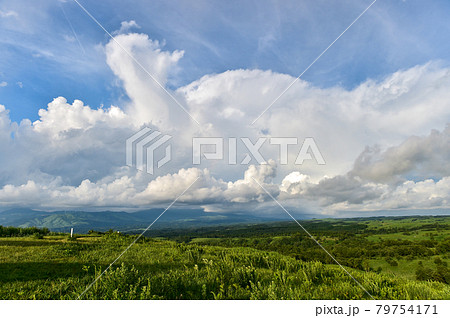夏の青空に浮かぶ白い雲押戸石の草原の風景 夏の青空に浮かぶ白い雲押戸石の草原の風景 79754171