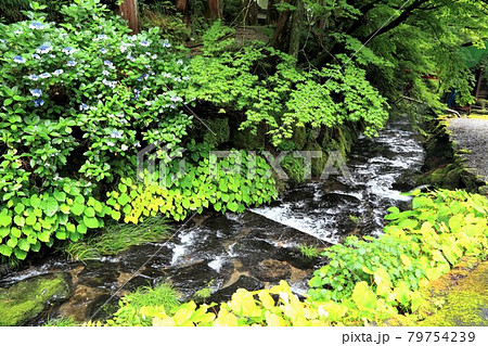 初夏の美濃の正倉院・両界山横蔵寺・58（岐阜県揖斐郡揖斐川町横蔵寺） 79754239