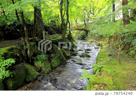 初夏の美濃の正倉院・両界山横蔵寺・59（岐阜県揖斐郡揖斐川町横蔵寺） 79754240