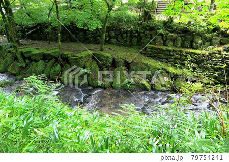 初夏の美濃の正倉院・両界山横蔵寺・60（岐阜県揖斐郡揖斐川町横蔵寺） 79754241
