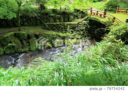 初夏の美濃の正倉院・両界山横蔵寺・61（岐阜県揖斐郡揖斐川町横蔵寺） 79754242