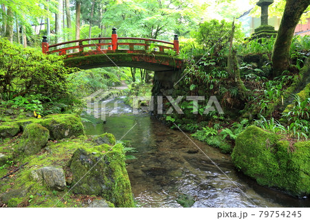 初夏の美濃の正倉院・両界山横蔵寺・64(岐阜県揖斐郡揖斐川町横蔵寺) 初夏の美濃の正倉院・両界山横蔵寺・64(岐阜県揖斐郡揖斐川町横蔵寺) 79754245