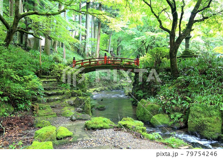 初夏の美濃の正倉院・両界山横蔵寺・65(岐阜県揖斐郡揖斐川町横蔵寺) 初夏の美濃の正倉院・両界山横蔵寺・65(岐阜県揖斐郡揖斐川町横蔵寺) 79754246