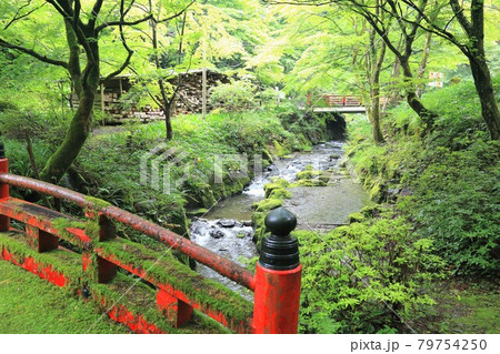 初夏の美濃の正倉院・両界山横蔵寺・69(岐阜県揖斐郡揖斐川町横蔵寺) 初夏の美濃の正倉院・両界山横蔵寺・69(岐阜県揖斐郡揖斐川町横蔵寺) 79754250