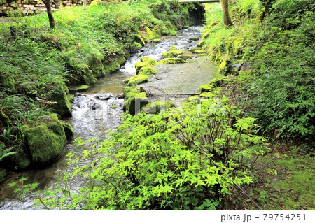 初夏の美濃の正倉院・両界山横蔵寺・70（岐阜県揖斐郡揖斐川町横蔵寺） 79754251