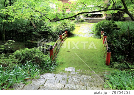初夏の美濃の正倉院・両界山横蔵寺・71（岐阜県揖斐郡揖斐川町横蔵寺） 79754252