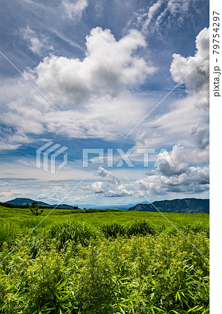 夏の青空に浮かぶ白い雲押戸石の草原の風景 79754297