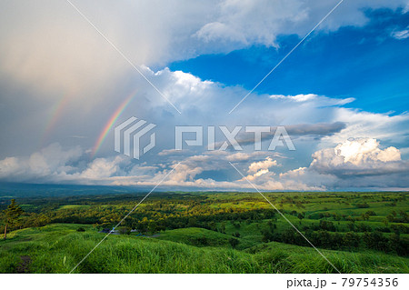夏の青空に浮かぶ白い雲押戸石の草原の風景 79754356