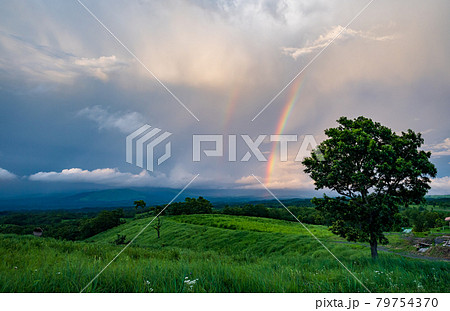 夏の青空に浮かぶ白い雲押戸石の草原の風景 79754370
