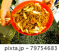 バーベキューの定番料理　鉄板で焼いたやきそば 79754683