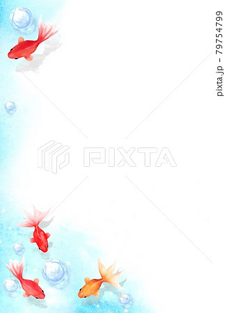 涼し気なガラス玉と金魚のフレーム 涼し気なガラス玉と金魚のフレーム 79754799