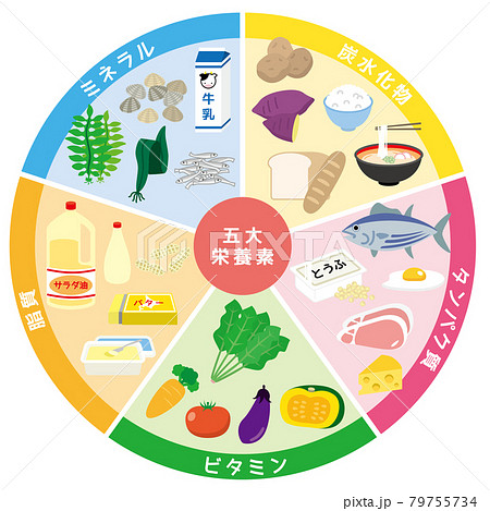 五大栄養素表 79755734
