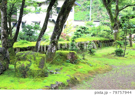 初夏の谷汲山華厳寺参道・25（岐阜県揖斐郡揖斐川町谷汲） 79757944