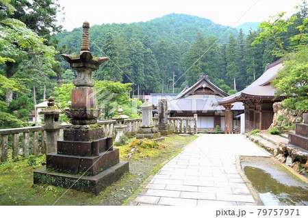 初夏の谷汲山華厳寺参道・49（岐阜県揖斐郡揖斐川町谷汲） 79757971