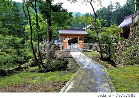 初夏の谷汲山華厳寺参道・61(岐阜県揖斐郡揖斐川町谷汲) 初夏の谷汲山華厳寺参道・61(岐阜県揖斐郡揖斐川町谷汲) 79757985