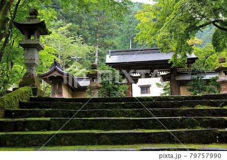 初夏の谷汲山華厳寺参道・66(岐阜県揖斐郡揖斐川町谷汲) 初夏の谷汲山華厳寺参道・66(岐阜県揖斐郡揖斐川町谷汲) 79757990