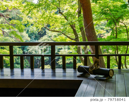 初夏の庭園の景色　四阿から見下ろした池 79758041