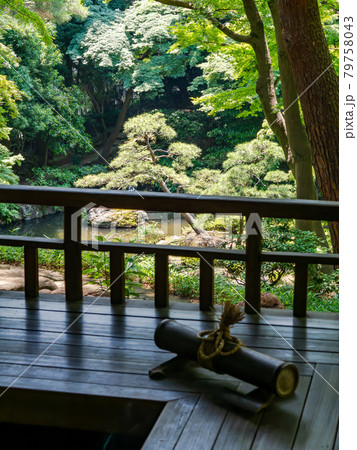 初夏の庭園の景色　四阿から見下ろした池 79758043