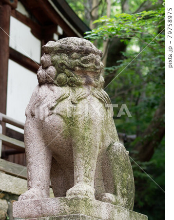 鐸比古鐸比賣神社の狛犬 79758975