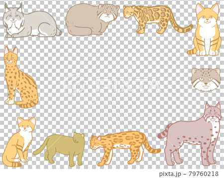 Minor feline frame sand cat illustration 79760218