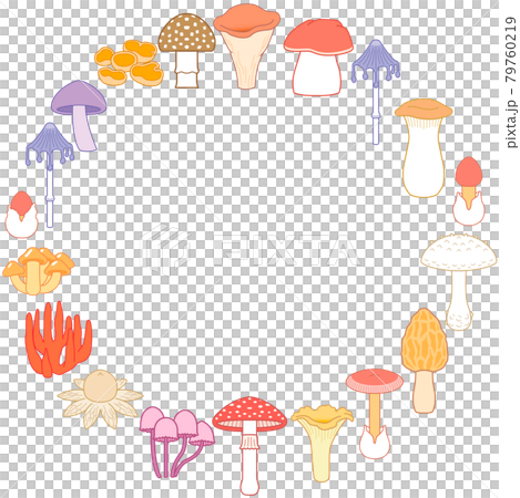 Various mushroom circle frames Amanita caesareus illustration 79760219