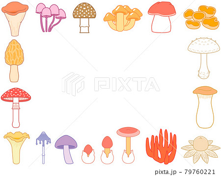 様々なキノコ　四角形のフレーム　タマゴタケ　イラスト 79760221