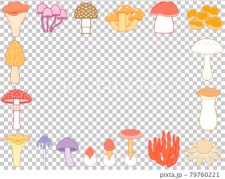 様々なキノコ　四角形のフレーム　タマゴタケ　イラスト 79760221