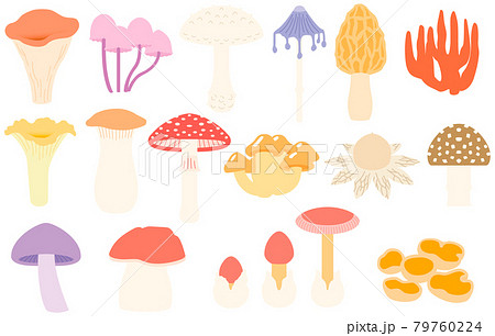 様々なキノコ　主線なし　タマゴタケ　イラスト 79760224