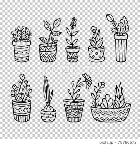 Doodle plants in pots set. Sketch style.  79760672
