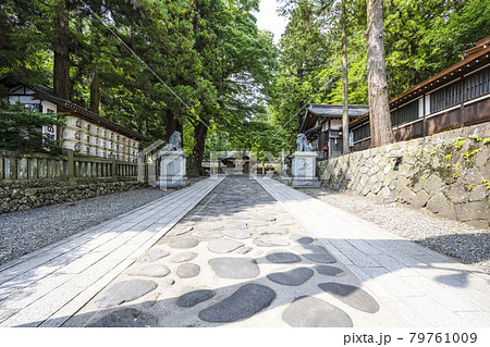諏訪大社 鳥居から望む下社春宮への参道 諏訪大社 鳥居から望む下社春宮への参道 79761009