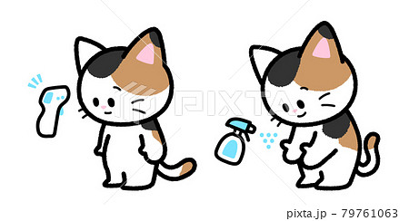 検温と消毒をする三毛猫 検温と消毒をする三毛猫 79761063