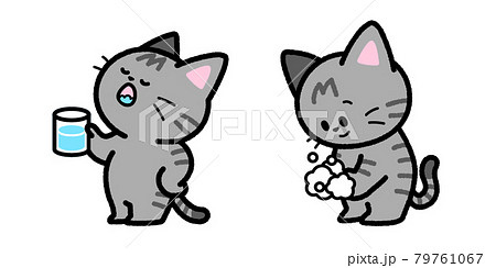 うがいと手洗いをするサバトラ猫 うがいと手洗いをするサバトラ猫 79761067