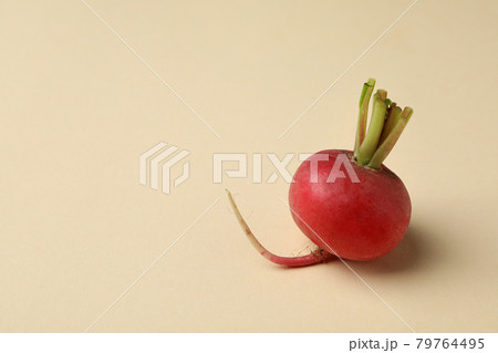 Fresh radish on beige background, space for text 79764495