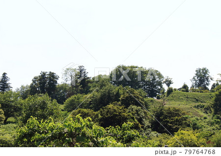 新緑の杉山城跡を下から望む 新緑の杉山城跡を下から望む 79764768
